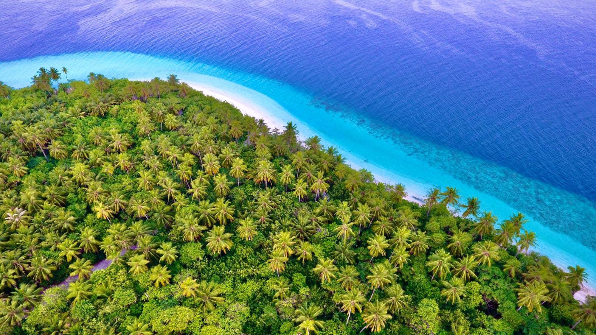 מלון Feridhoo Escapism Maldives מראה חיצוני תמונה